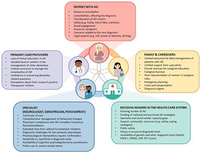 Frontiers Decision making under uncertainty in the diagnosis and